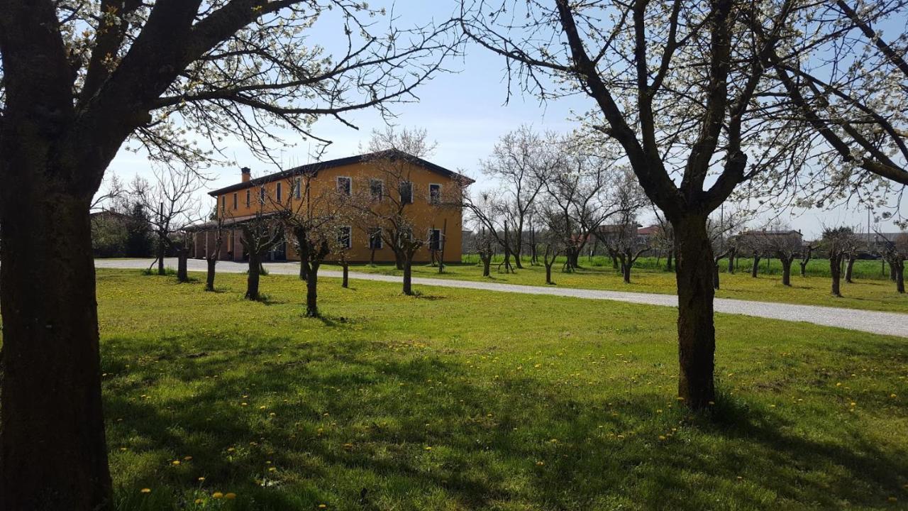 Agriturismo Borgo Borromeo Villa Rubano Buitenkant foto